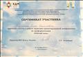 Сертификат участника практико-ориентированной конференции по профориентации "Рабочий день"
Городской центр психолого-педагогической поддержки молодежи "Родник"
